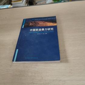 中国家庭暴力研究