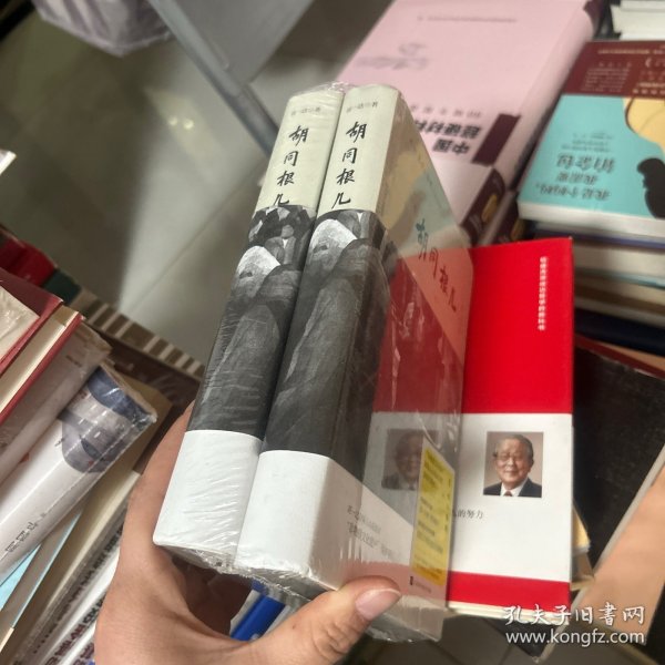 刘一达文集:《胡同根儿》（上下册）