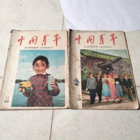 中国青年1958年11.12期