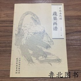 中国画线描 蔬果画谱 白描蔬菜水果图谱国画 工笔画白描底稿