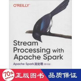 Apache Spark流处理（影印版）