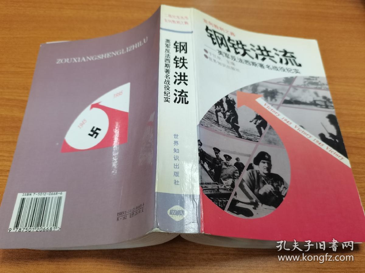 二战纪实丛书走向胜利之路：钢铁洪流—英军反法西斯著名战役纪实