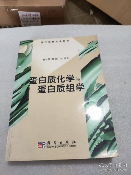 蛋白质化学与蛋白质组学(现代生物技术前沿)