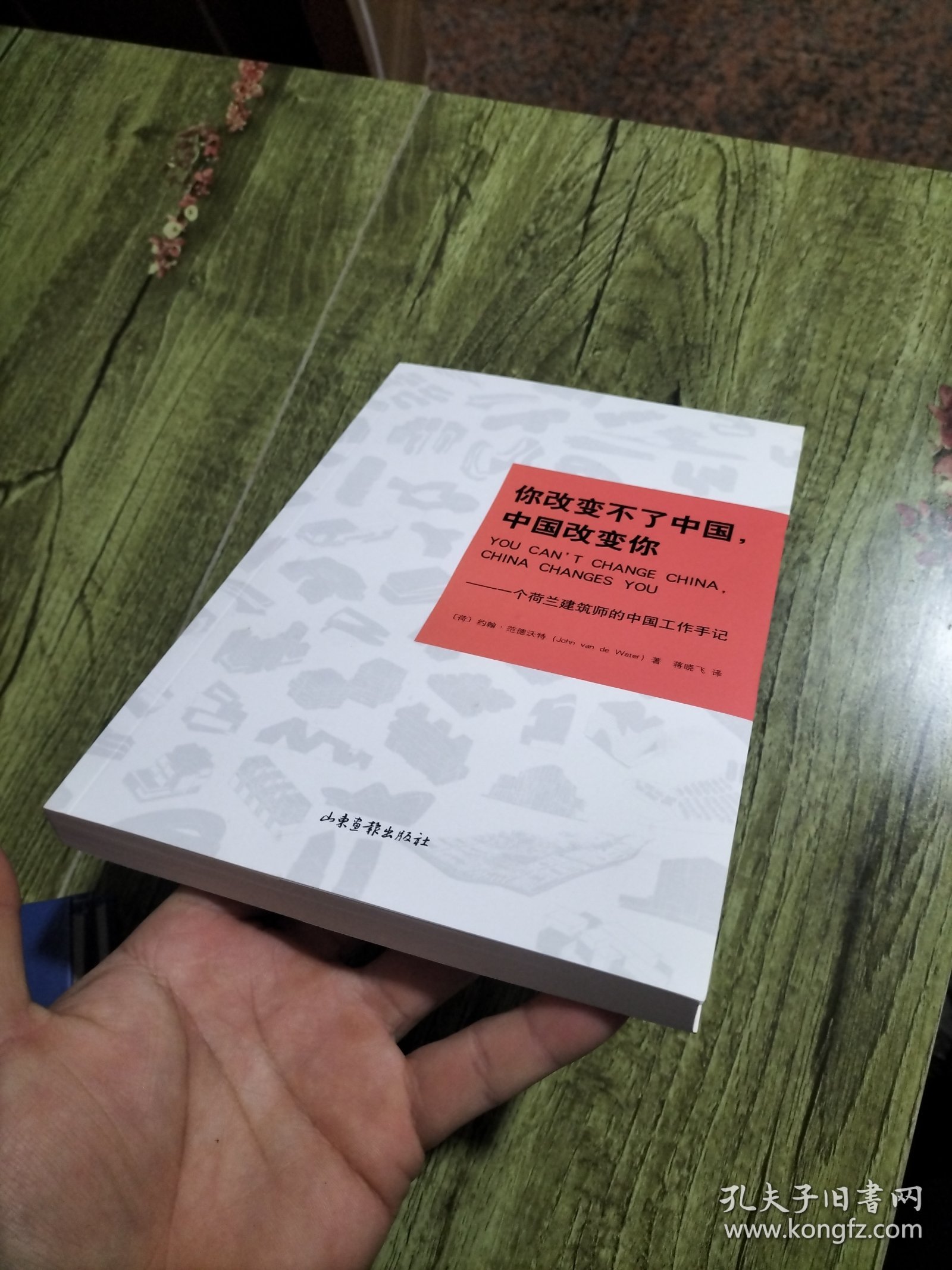 你改变不了中国，中国改变你：一个荷兰建筑师的中国工作手记
