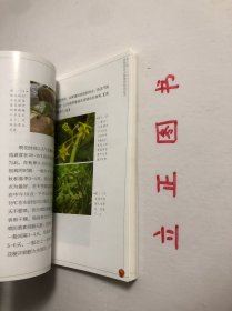 【正版现货，一版一印】浙南地区大棚番茄生产实用技术手册（图文版）设施越冬番茄产业是浙南地区最具区域优势、最有发展潜力的农业主导产业之一。据统计，浙南地区大棚越冬番茄现有栽培面积10万亩，总产量近50万吨，产值约12亿元，已成为浙南地区农业增效、农民增收的新举措。广大菜农依靠科技发家致富的要求十分迫切，非常需要通俗易懂的图书以指导其选良种、育好苗、用好肥、施准药、保好温、点好花，品相好，实用性强