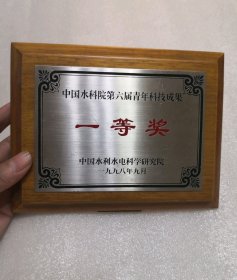 中国水科院第六届青年科技成果一等奖