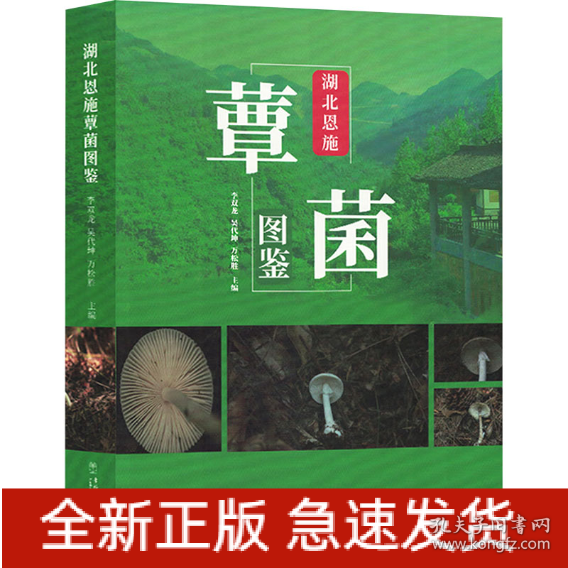 湖北恩施覃菌图鉴