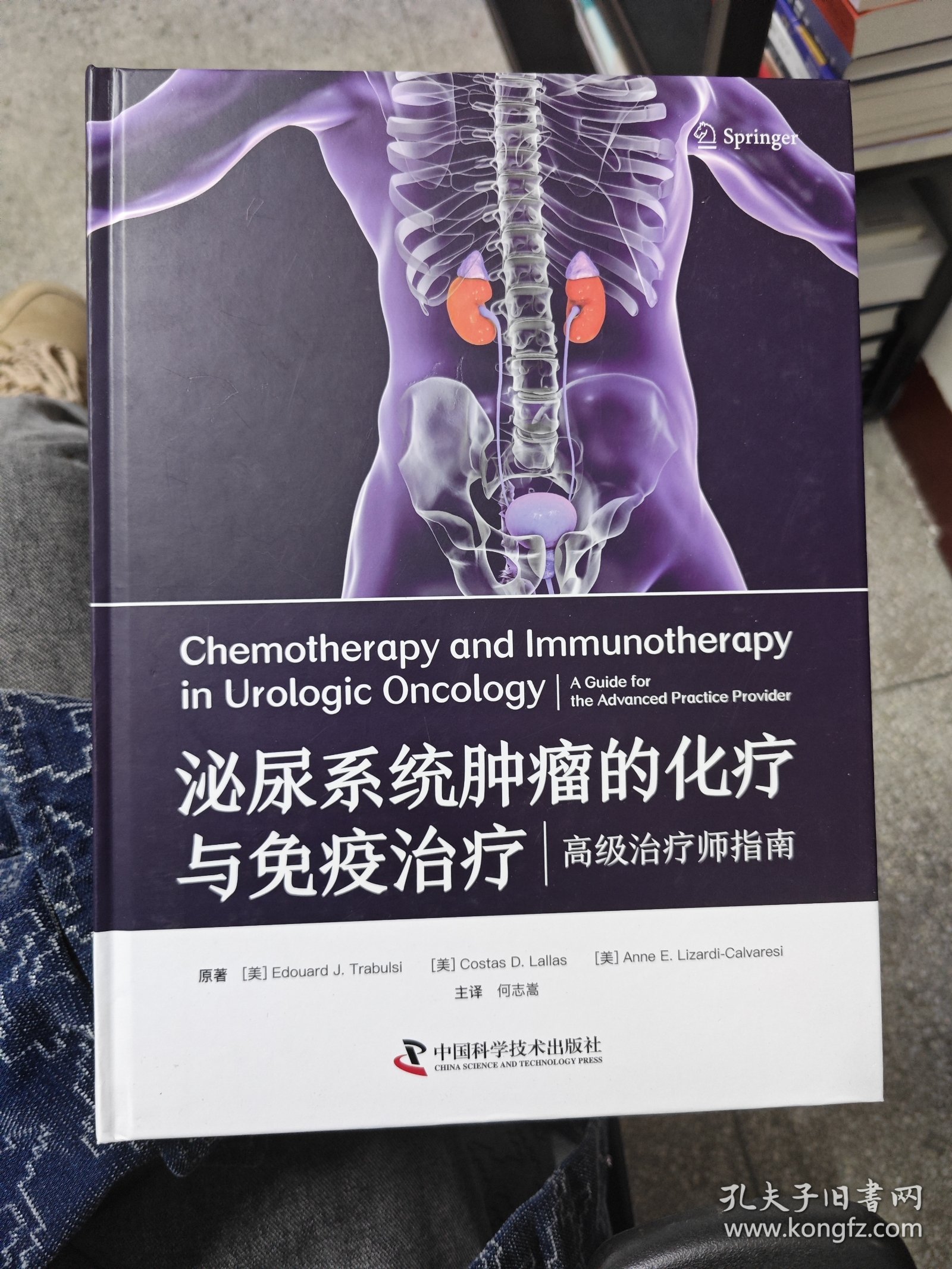 泌尿系统肿瘤的化疗与免疫治疗：高级治疗师指南