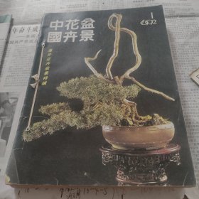 中国花卉盆景，1992年1一12期12本合售