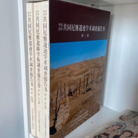 中日共同尼雅遗址学术调查报告书 三卷
