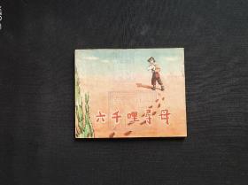 六千哩寻母