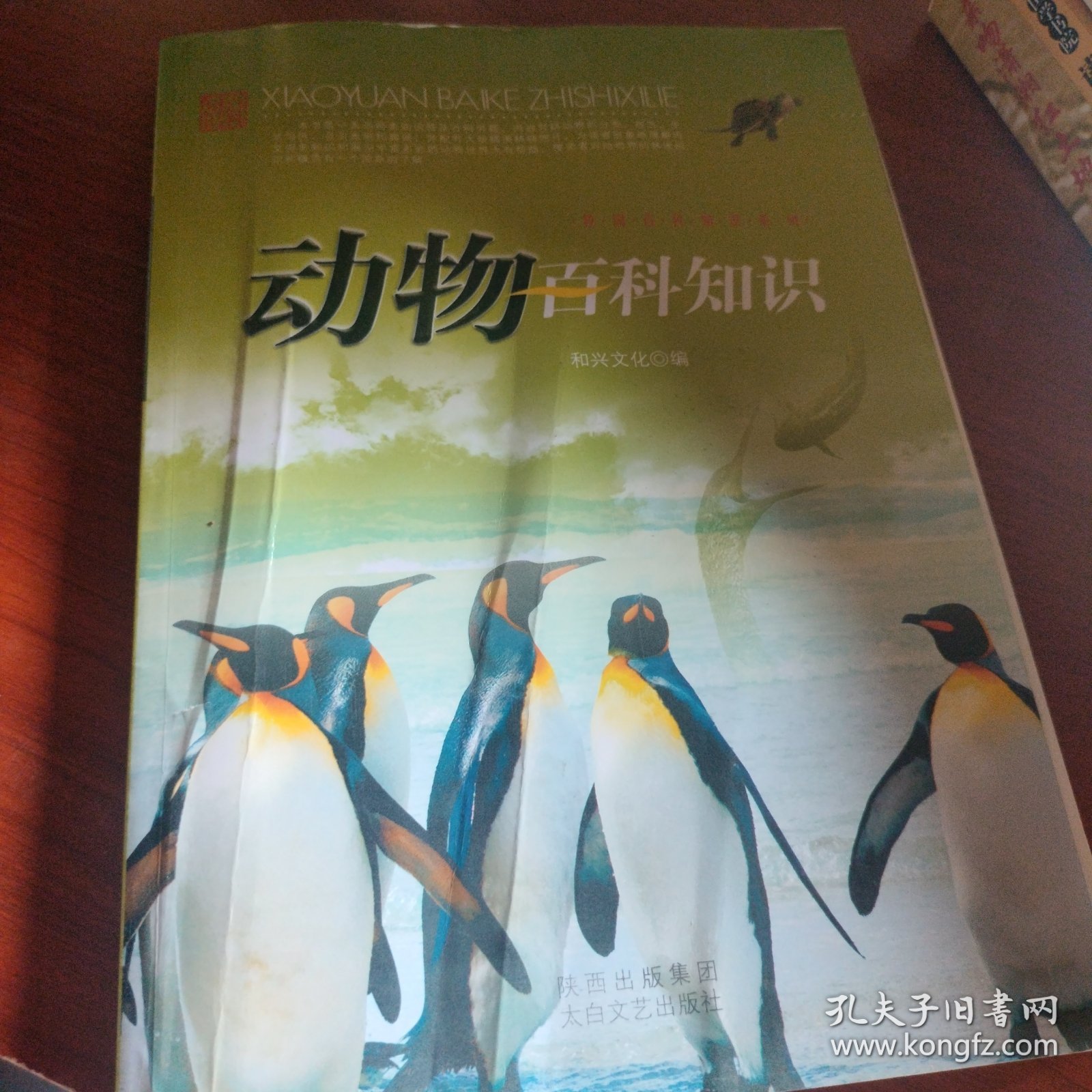 动物百科知识