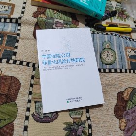 中国保险公司非量化风险评估研究