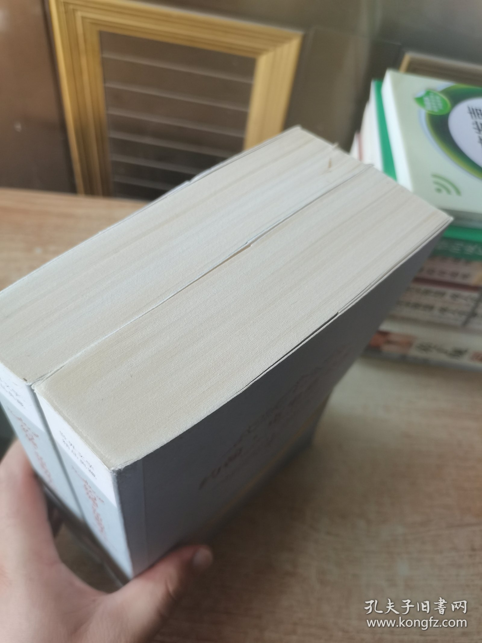 约翰·克里斯朵夫（套装全2册）