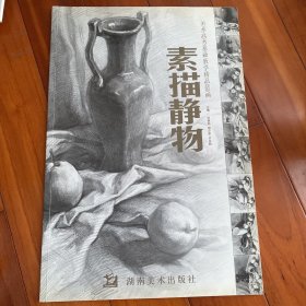 美术高考基础教学精品范画：素描静物