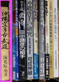 价可议 冲绳空手古武道 42mml 冲縄空手古武道