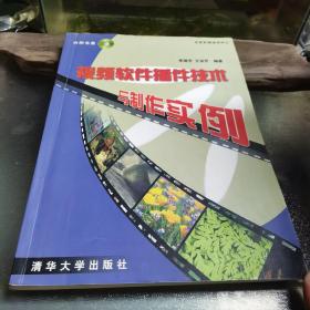 视频软件插件技术与制作实例