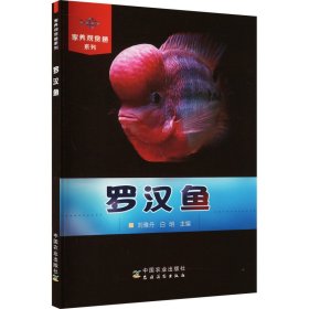 羅漢魚