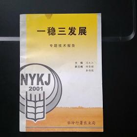 一稳三发展专题技术报告