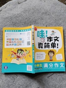 小学生满分作文