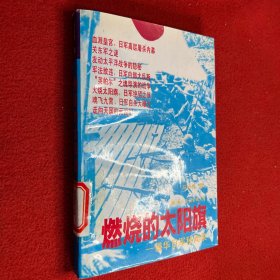 燃燒的太陽旗:侵華日軍秘聞錄