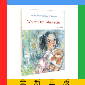 中国儿童文学走向世界精品书系：我在哪里错过了你（英文）