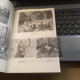 北方民族原始社会形态研究