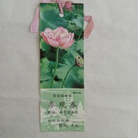 西安植物园参观卷【贰角】秦红莲
