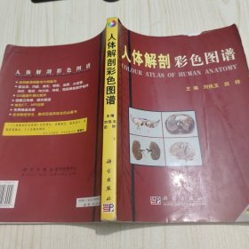 人体解剖彩色图谱