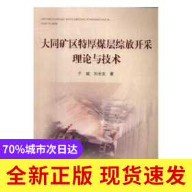 大同礦區(qū)特厚煤層綜放開采理論與技術