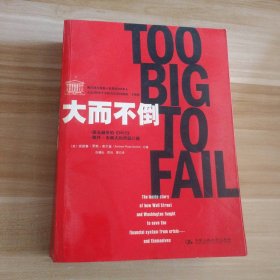 大而不倒：2010年全球政要和首席执行官争相阅读的金融危机启示录