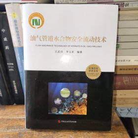 油气管道水合物安全流动技术 石油天然气 王武昌，李玉星编