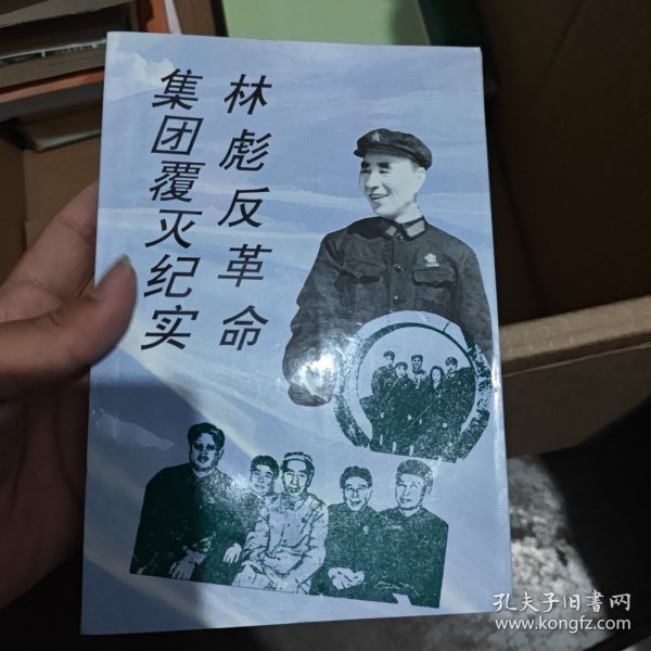 林彪反革命集团覆灭纪实