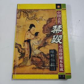 中国古代禁毁小说：绿野仙踪（上）