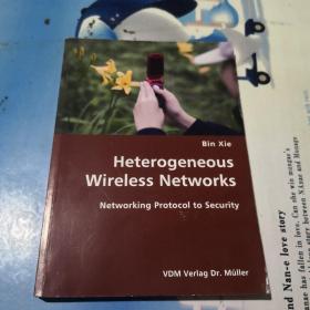 Heterogeneous Wireless Networks