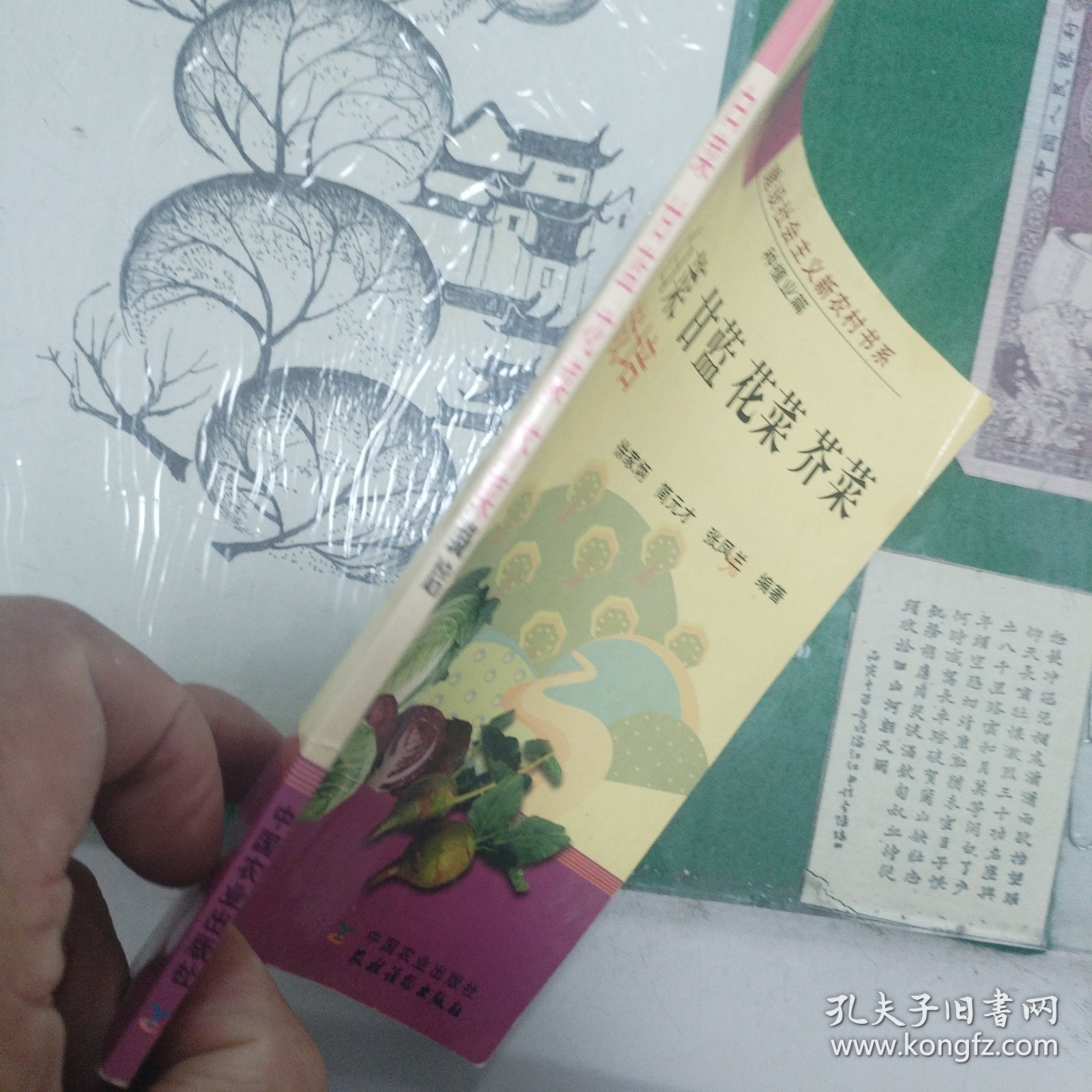 白菜甘蓝花菜芥菜栽培（2006年一版一印）（11箱右2）