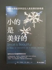 小的是美好的：如何运用经济学来定位人类发展的新维度