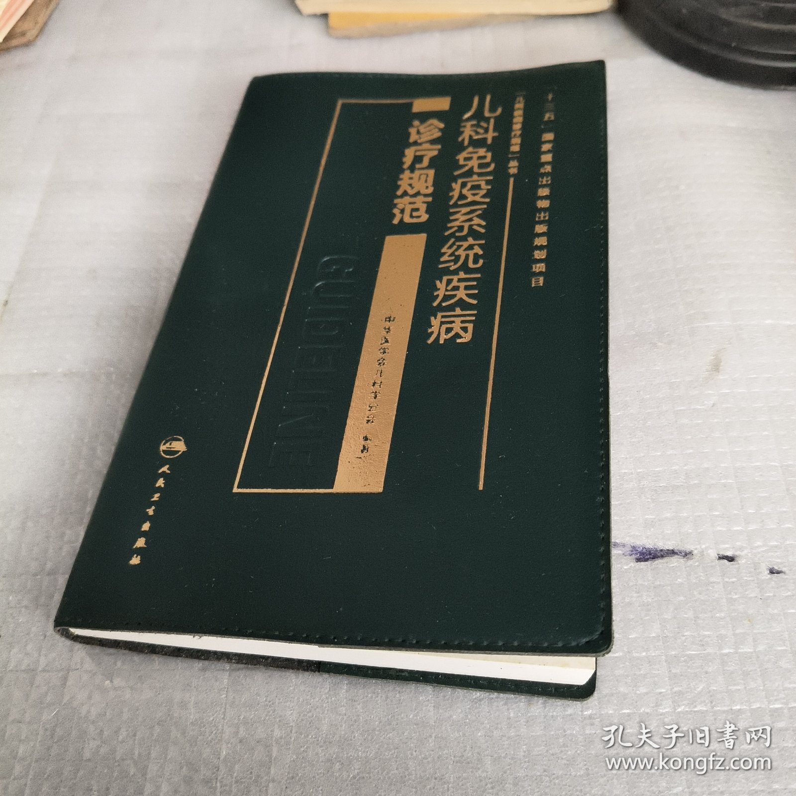 儿科疾病诊疗规范丛书：儿科免疫系统疾病诊疗规范