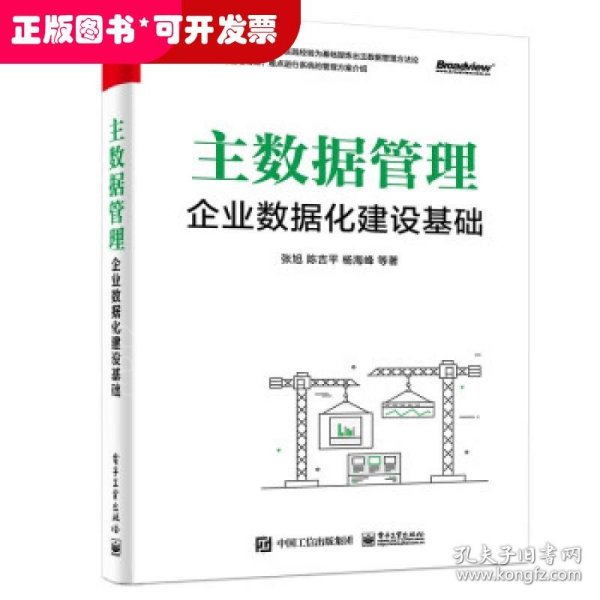 主数据管理：企业数据化建设基础(博文视点出品)（精装版）