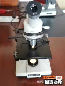 江南显微镜