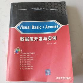 1+1数据库混合开发技术丛书：Visual Basic+Access数据库开发与实例