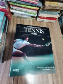 WIDE GRAPHICS TENNIS 网球运动 日文版