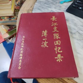 长江支队回忆录