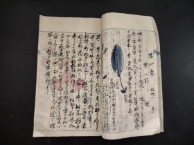 线装手写书法本1887年《博物讲义》册全，手绘彩色画，动物 植物 人体 等等，书法流畅，手绘画精美，尺寸25*17