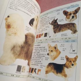 名犬   全世界300  多种名犬的彩色图鉴