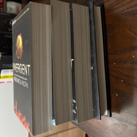 Divergent Series Box Set (Books 1-4 Plus World of Divergent)分歧者套装，共4册 英文原版