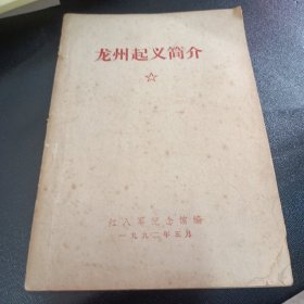 龙州起义简介