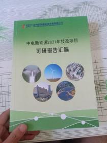 中电新能源2021年技改项目可研报告汇编