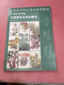 高等美术学院基础教学教法：方楚雄花鸟写生教法