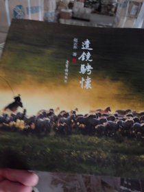 遣镜骋怀